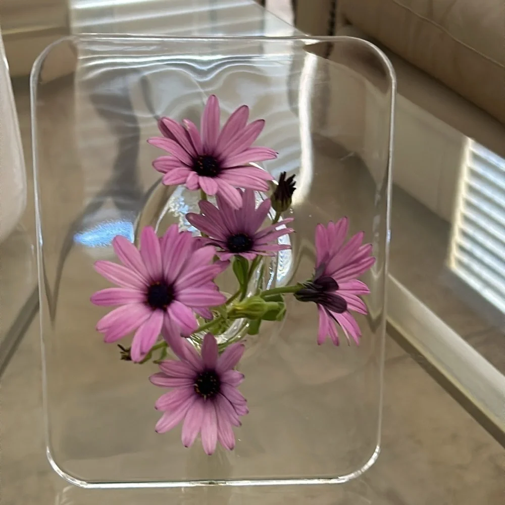 Contemporary Acrylic Vase: Rectangular Shape, Transparent Design / BRAND NEW